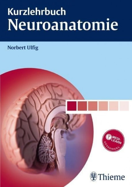 Kurzlehrbuch Neuroanatomie
