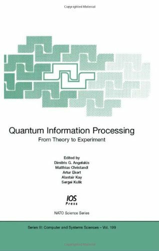 Quantum Information Processing: From Theory to Experiment (NATO Science)
