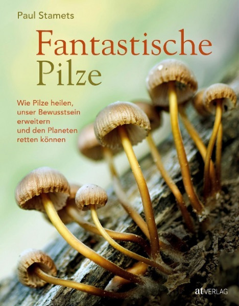 Fantastische Pilze