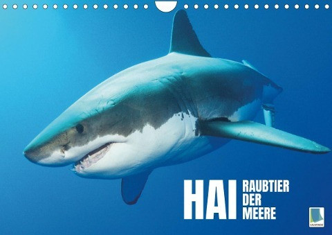 Hai: Raubtier der Meere (Wandkalender 2023 DIN A4 quer)