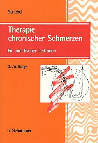 Therapie chronischer Schmerzen: Ein praktischer Leitfaden