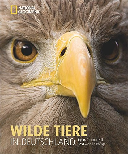 Wilde Tiere in Deutschland: Mit einem Vorwort von Andreas Kieling