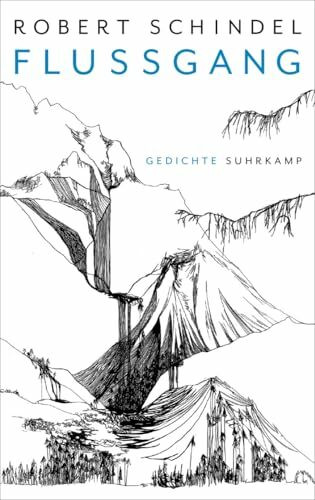Flussgang: Gedichte
