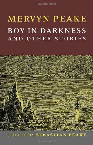 Boy In Darkness
