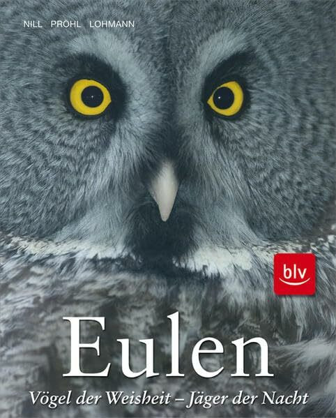 Eulen: Vögel der Weisheit, Jäger der Nacht
