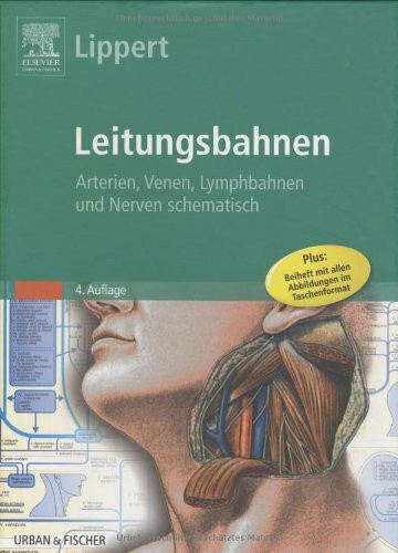 Leitungsbahnen: Arterien, Venen, Lymphbahnen und Nerven schematisch: Arterien, Venen, Lymphbahnen und Nerven schematisch. Posterformat: 70 x 50 cm
