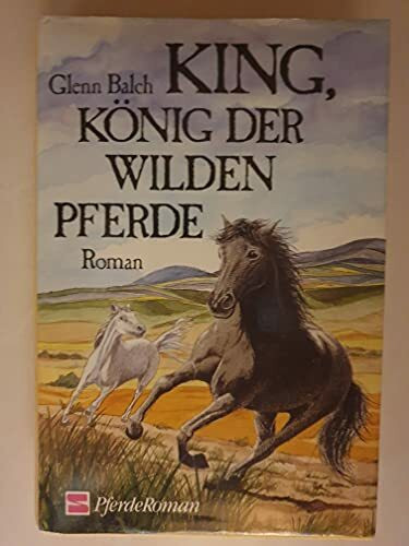 King, König der wilden Pferde: Roman