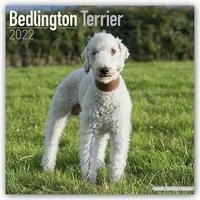 Bedlington Terrier 2022 - 18-Monatskalender mit freier DogDays-App