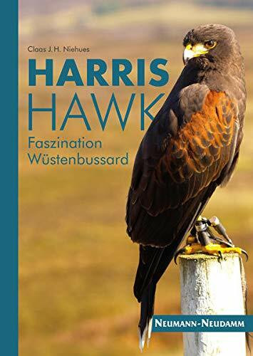 Harris Hawk: Faszination Wüstenbussard