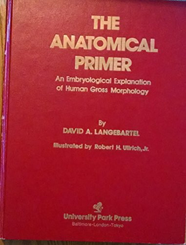 Anatomical Primer: An Embryological Explanation of Human Gross Morphology