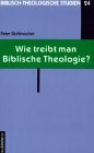 Wie treibt man Biblische Theologie?