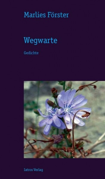 Wegwarte