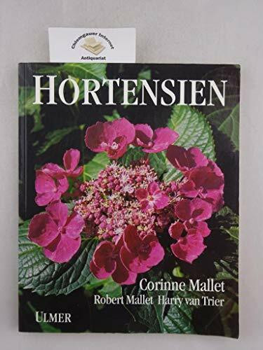 Hortensien