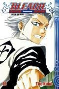 Bleach 16