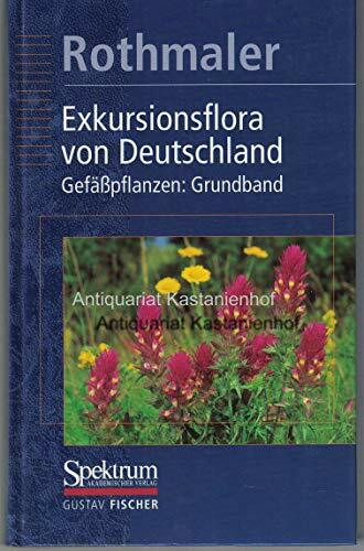 Exkursionsflora von Deutschland: Rothmaler, Exkursionsflora Bd.2: Gefässpflanzen: Grundband