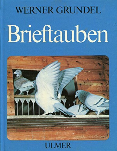 Brieftauben.