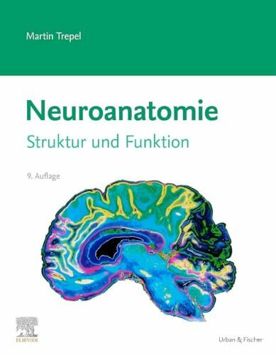 Neuroanatomie: Struktur und Funktion (VORKLINIK - Lehrbuch - Urban & Fischer-Verlag)