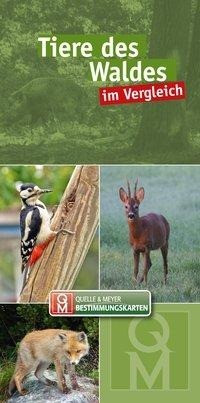 Tiere des Waldes