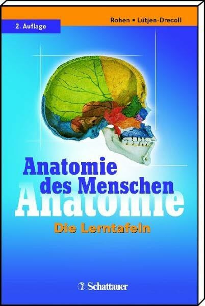 Anatomie des Menschen: Die Lerntafeln