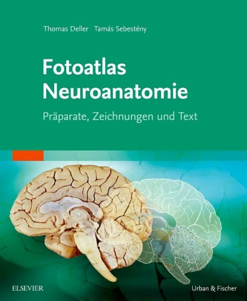 Fotoatlas Neuroanatomie: Präparate, Zeichnungen und Text