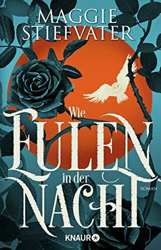 Wie Eulen in der Nacht: Roman