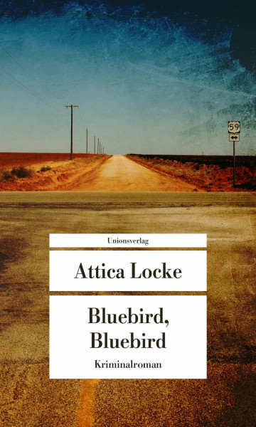 Bluebird, Bluebird: Kriminalroman (metro) (Unionsverlag Taschenbücher)