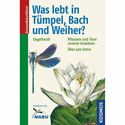 Was lebt in Tümpel, Bach und Weiher?: Pflanzen und Tiere unserer Gewässer