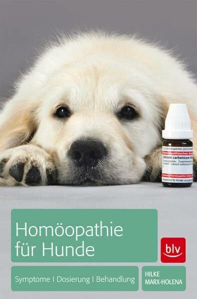 Homöopathie für Hunde: Symptome | Dosierung | Behandlung