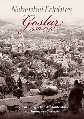 Nebenbei Erlebtes: Goslar 1930-1948. Aus dem Alltagsleben der Tante Marie