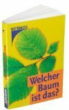 Welcher Baum ist das?