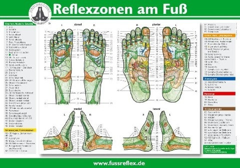 Reflexzonen der Füße (Tafel A2)