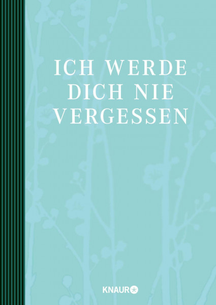 Elma van Vliet Ich werde dich nie vergessen: Mit Platz für eigene Eintragungen