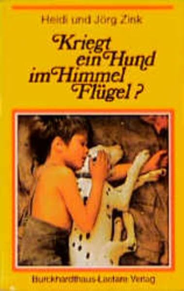 Kriegt ein Hund im Himmel Flügel?: Religiöse Fragen bei der Erziehung in den ersten sechs Lebensjahren