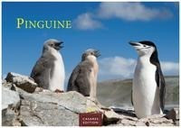Pinguine 2023 S 24x35cm