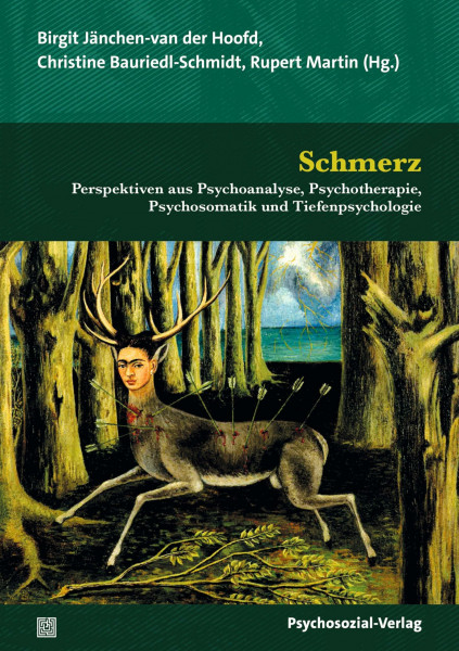 Schmerz: Perspektiven aus Psychoanalyse, Psychotherapie, Psychosomatik und Tiefenpsychologie (Bibliothek der Psychoanalyse)