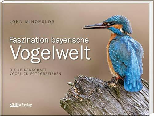 Faszination Bayerische Vogelwelt: Die Leidenschaft Vögel zu fotografieren