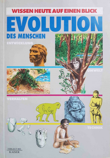 Evolution des Menschen