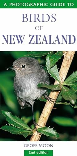Photographic Guide To Birds Of New Zealand Photographic Guide To Birds Of New Zealand