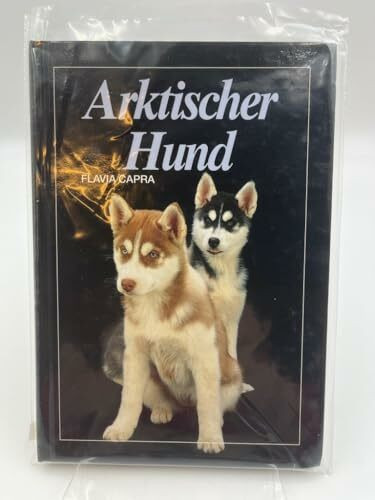 Arktischer Hund