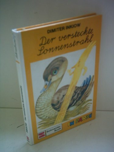Der versteckte Sonnenstrahl: Grossdruck