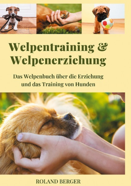 Welpentraining und Welpenerziehung