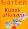 Kübelpflanzen: Einfach nachmachen