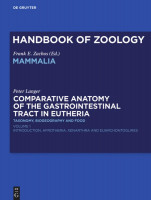 Comparative Anatomy of the Gastrointestinal Tract in Eutheria I Comparative Anatomy of the Gastrointestinal Tract in Eutheria I