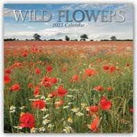 Wildflowers - Wildblumen 2022 - 18-Monatskalender