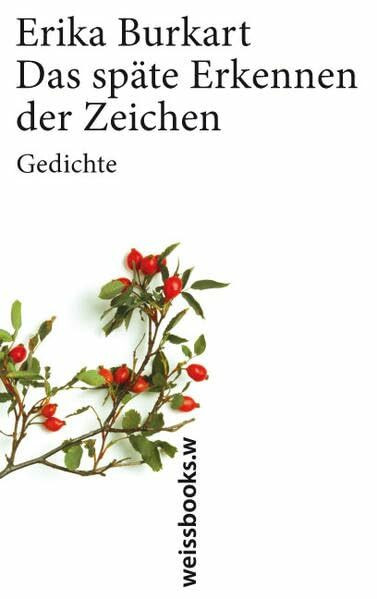 Das späte Erkennen der Zeichen: Gedichte