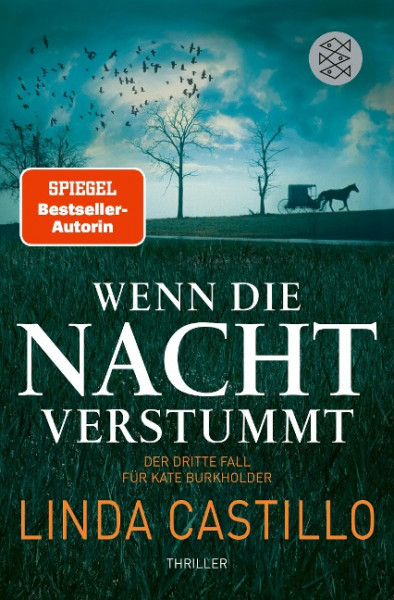 Wenn die Nacht verstummt