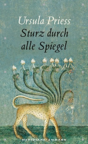 Sturz durch alle Spiegel: Eine Bestandsaufnahme (Meridiane)