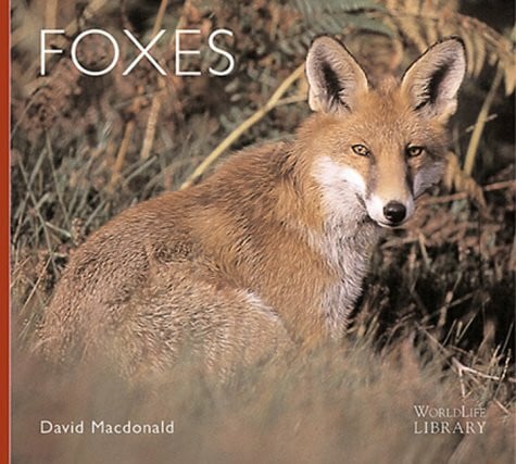 Foxes (World Life Library)