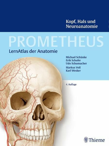 Kopf, Hals und Neuroanatomie (Prometheus: LernAtlas der Anatomie)