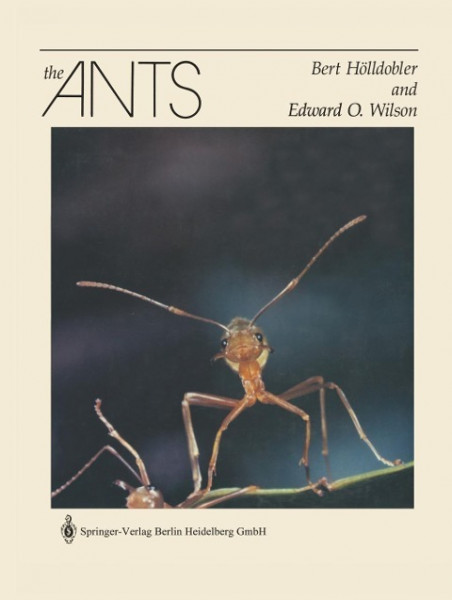 The Ants